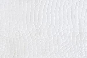 White Crocodile Skin Texture, Abstract Pattern Background photo