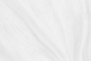Minimalist White and Gray Gradient Curve Background. photo