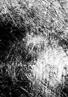 Close-up of Scratched Surface Texture photo