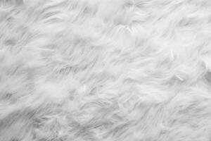 High-Resolution Stock Photo, Close-Up of Fluffy Sheep Wool Texture for Background or Wallpaper photo