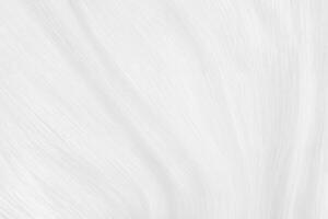 Minimalist White and Gray Gradient Curve Background. photo