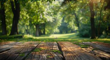 Sunlight Filtering Through Trees Onto Wooden Table photo