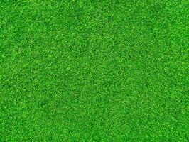 High-Quality Green Grass Texture Background Ideal for Sports Fields and Landscaping Projects photo
