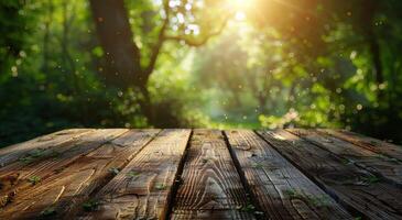 Sunlight Filtering Through Trees Onto Wooden Table photo