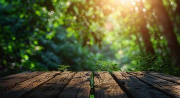 Sunlight Filtering Through Trees Onto Wooden Table photo