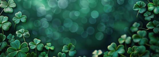 Group of Four Leaf Clovers With Blurry Background photo