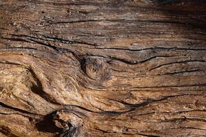 Close-Up Shot of Wooden Surface Texture photo