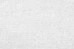 Clean White Canvas Texture Background for Professional Presentations photo