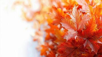 A Pile of Leaves on Top of a Piece of Paper photo