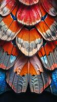 Close Up of a Colorful Butterflys Wings photo