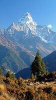 Majestic Mountain Range With Foreground Trees photo