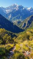 Majestic Mountain Range With Foreground Trees photo