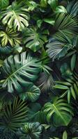 Close-Up of Green Leaves photo