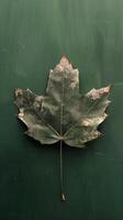 Green Leaf on Green Background photo