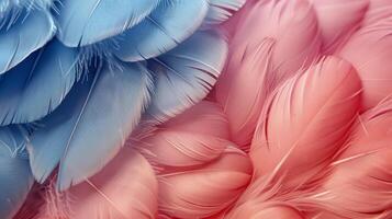 Vibrant Close-Up of Exotic Bird Feathers photo