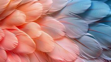 Vibrant Close-Up of Exotic Bird Feathers photo