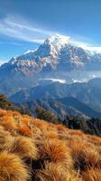 Majestic Mountain Range With Foreground Trees photo