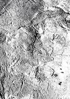 Monochrome Plaster Overlay Texture Background photo