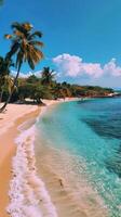 Sandy Beach With Palm Trees and Clear Blue Water photo