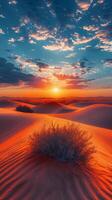 Sun Setting Over Desert Landscape photo