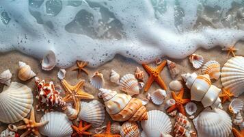 Sea Shells and Starfish on a Sandy Beach photo