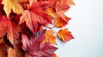 A Pile of Leaves on Top of a Piece of Paper photo