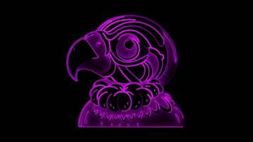 Neon frame effect Andean condor, glow, black background. video