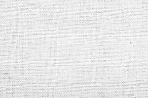 Clean White Canvas Texture Background for Professional Presentations photo