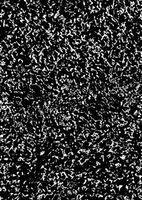 Monochrome Textured Background, Grainy Surface in Black and White photo