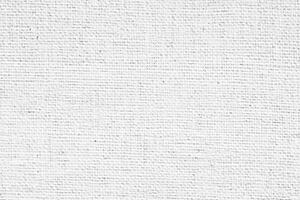 Clean White Canvas Texture Background for Professional Presentations photo