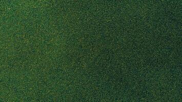 Luxurious Green Natural Carpet Texture, Ideal for Brochures, Invitations, Ads, and Web Templates photo