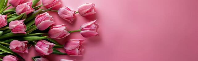 Pink Tulip Bouquet on Pink Background photo