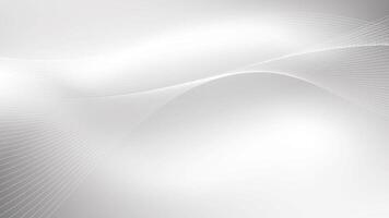 Abstract white and gray color, modern design stripes background with curve lines, wavy pattern. illustration. vector