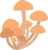 Honey mushrooms grow in the forest in autumn. vector