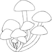 Honey mushrooms grow in the forest in autumn. vector