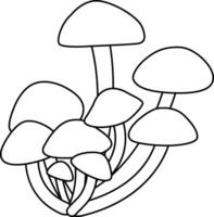 Honey mushrooms grow in the forest in autumn. vector