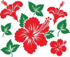 Set of Hibiscus flower with leafs silhouettes illustration vector