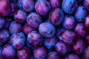 Fresh purple plums background. Top view. Close-up. photo