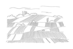 Rural landscape sketch panoramic format with harvest fields. Hand drawn Illustration in minimal line art style. Green grass field, vineyard on small hills. Abstract Meadow, countryside pastures vector