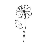 a flower drawn in one line on a white background vector