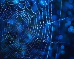 spider web with dew drops on dark blue bokeh background photo