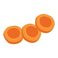 Cut and sliced fresh carrots vector