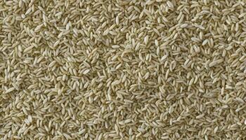Rice Grain Background photo