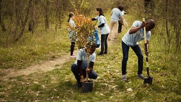 African american ecologic activists planting seedlings in a forest environment, working together in unity to preserve and protect the natural habitat. Growing trees project. Camera B. photo