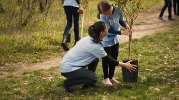 clima activistas plantando nuevo arboles en un bosque ecosistema, excavación agujeros y poniendo plántulas en el suelo. voluntarios trabajando en conservación naturaleza y proteger el ambiente. cámara una. foto