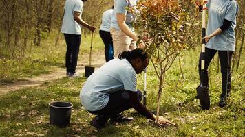 Team of volunteers planting trees in the forest by digging holes in the ground, giving life to the natural habitat and ecosystem. Activists doing voluntary work to save the planet. Camera B. photo
