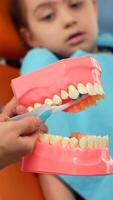 Pediatric dentist showing the correct dental hygiene using mock-up of skeleton of teeth. Stomatologist doctor explaining proper dental hygiene to patient holding sample of human jaw with toothbrush. photo