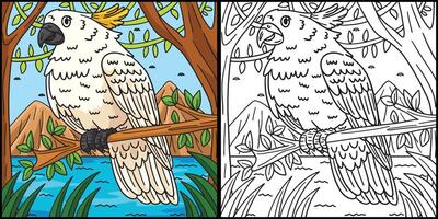 Cockatoo Bird Coloring Page Colored Illustration vector