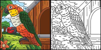 Cacique Bird Coloring Page Colored Illustration vector