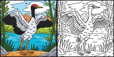 Crane Bird Coloring Page Colored Illustration vector